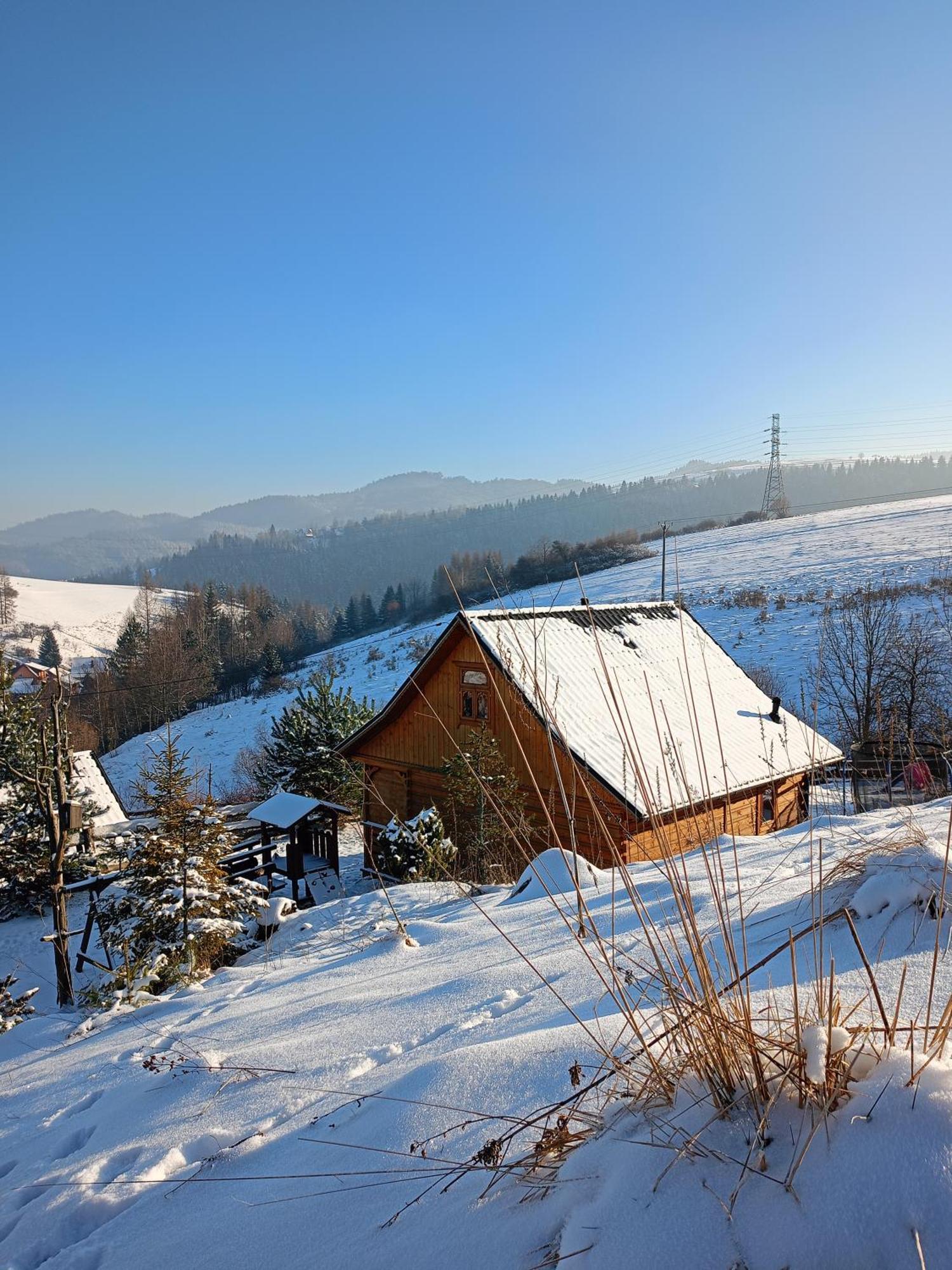 Pieninskie Herbarium Dobre Samopoczucie, Wellness, Mini Zoo, Poczujesz Folklor Pienin Grywald Exterior foto