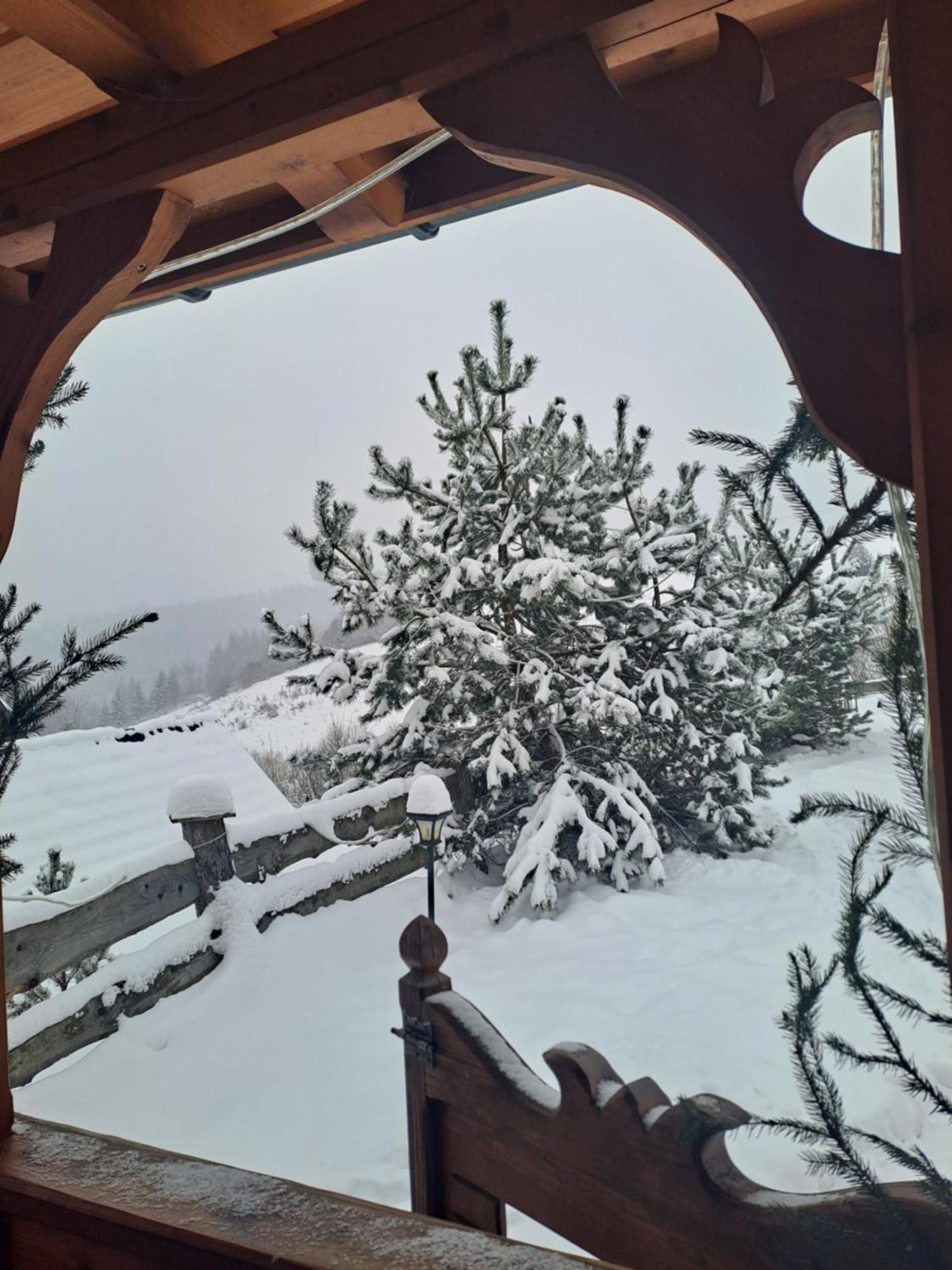 Pieninskie Herbarium Dobre Samopoczucie, Wellness, Mini Zoo, Poczujesz Folklor Pienin Grywald Exterior foto